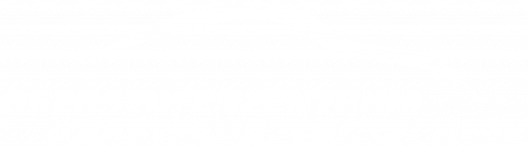 Logo_KFZ-weiss