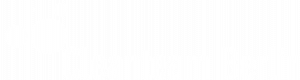 cleanteam_logo 1